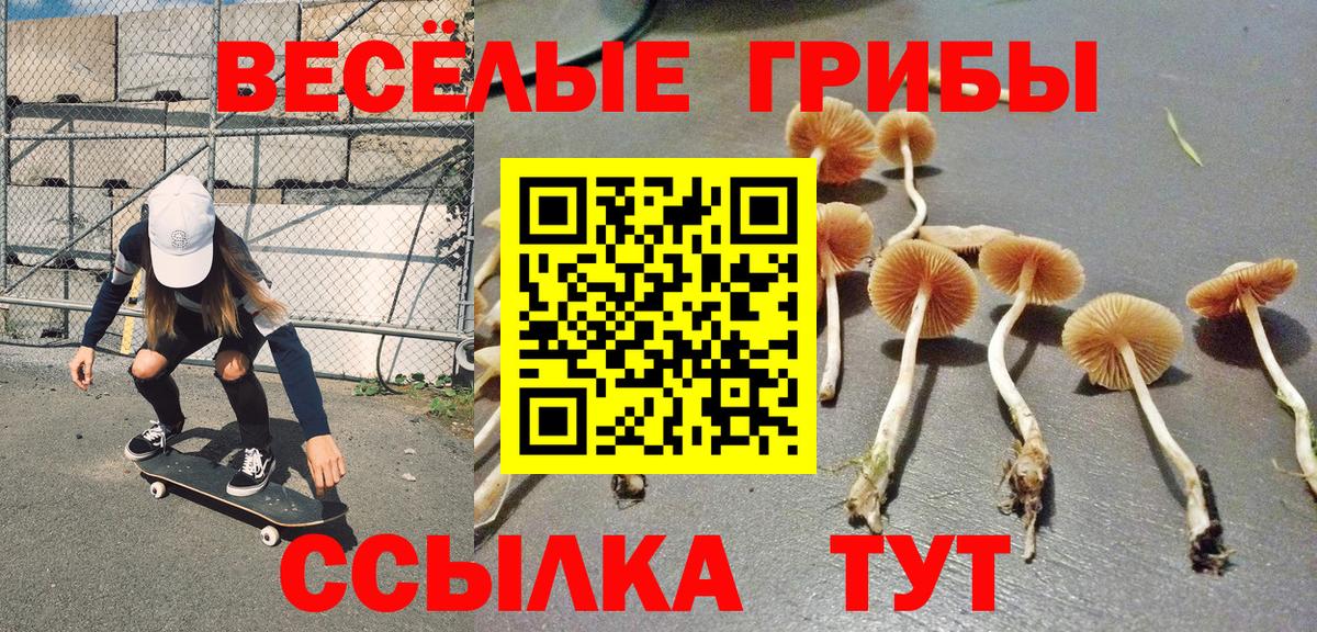 Псилоцибиновые грибы Magic Shrooms  Галлюциногенные грибы Magic Shrooms  Вход с VPN  Бугуруслан 